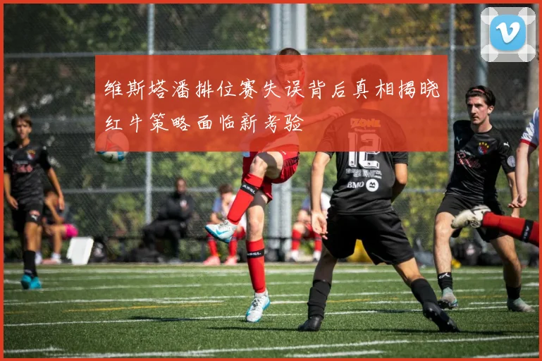 维斯塔潘排位赛失误背后真相揭晓红牛策略面临新考验