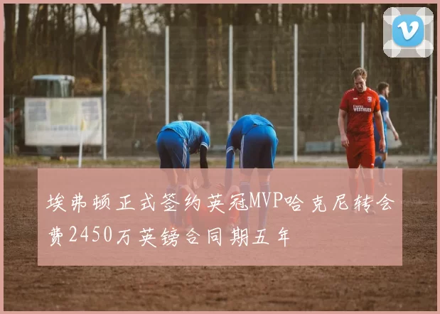 埃弗顿正式签约英冠MVP哈克尼转会费2450万英镑合同期五年