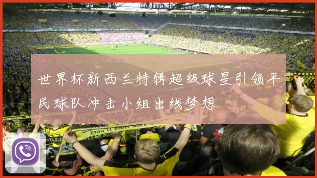 世界杯新西兰特辑超级球星引领平民球队冲击小组出线梦想
